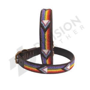 Leather pride neck collar
