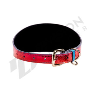 Leather pride neck collar