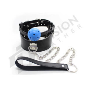 Leather gay neck collar