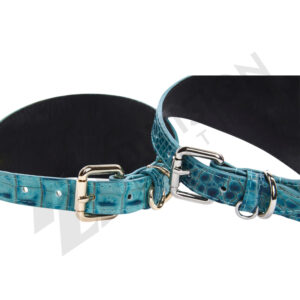 Leather pride neck collar