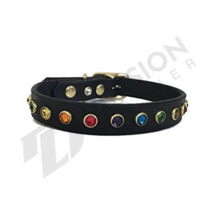 Leather pride neck collar
